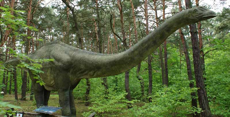 Кращий відпочинок з дітьми в Польщі: парк динозаврів